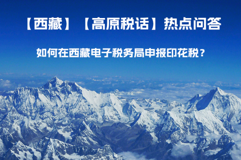 如何在西藏自治區(qū)電子稅務(wù)局申報印花稅？