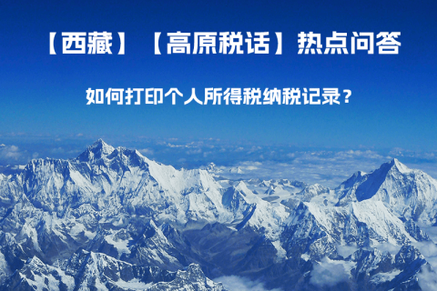 如何打印個(gè)人所得稅納稅記錄？